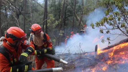 【德利泰】消防救援装备展示10